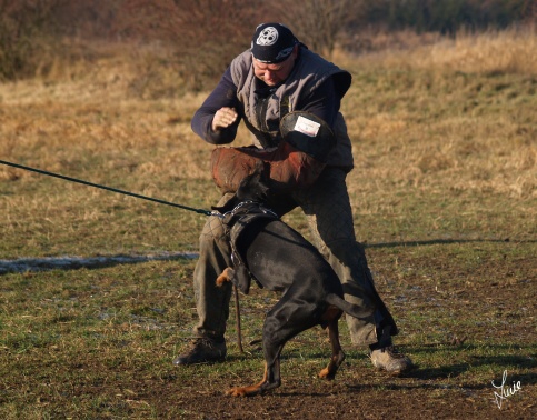 The christmas training 27.12.2006